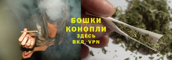 шишки Слюдянка
