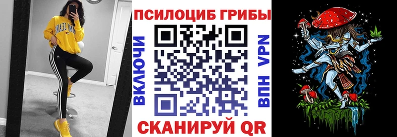 наркошоп  Белая Калитва  Галлюциногенные грибы Psilocybine cubensis 